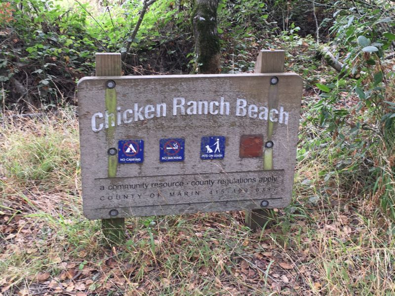 Chicken Ranch Beach ...