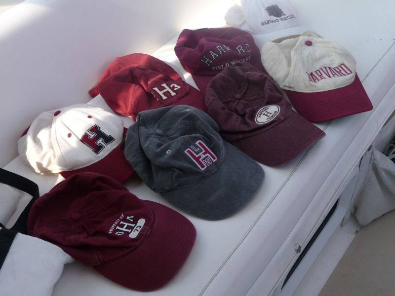 Harvard Hats!