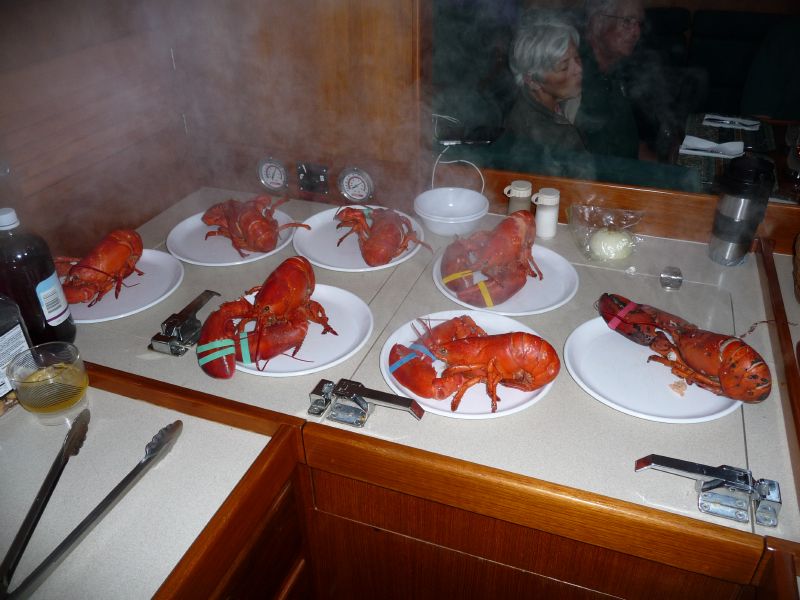 Steaming hot lobsters ...