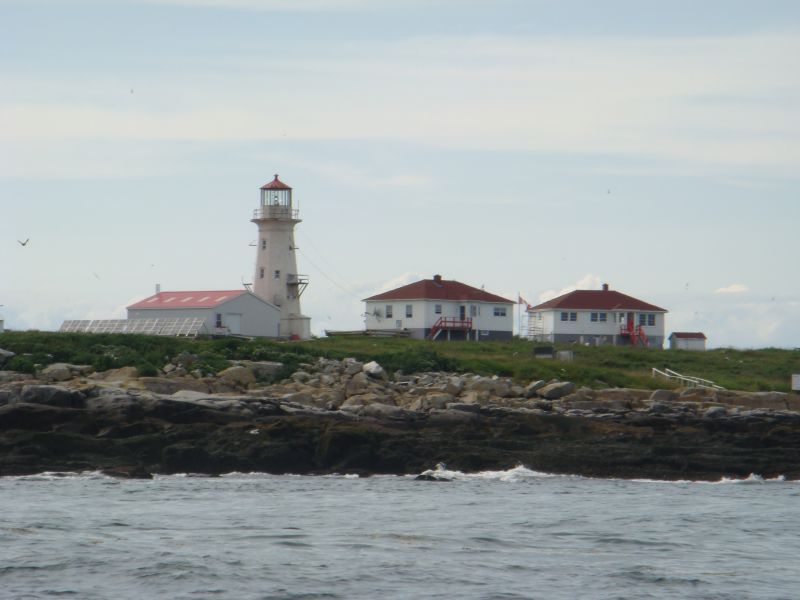 <b>08-Machias Seal Island<br> jav09-156</b>