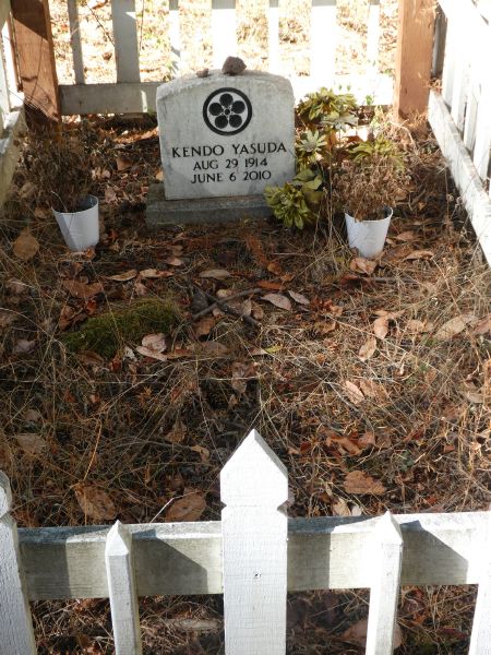 2010 grave.
