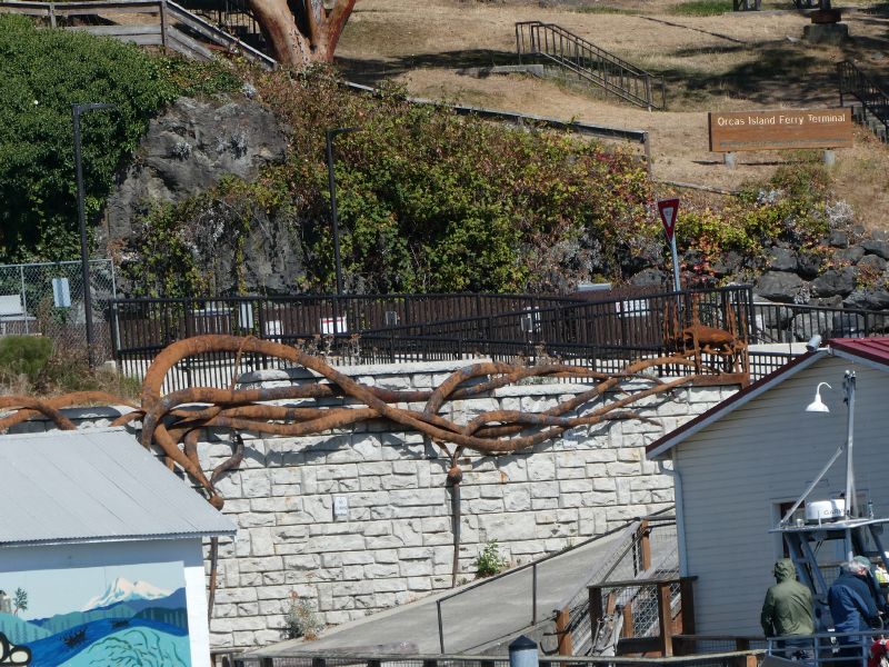 Zach's Kelp Sculpture<B>Orcas I. Ferry Dock