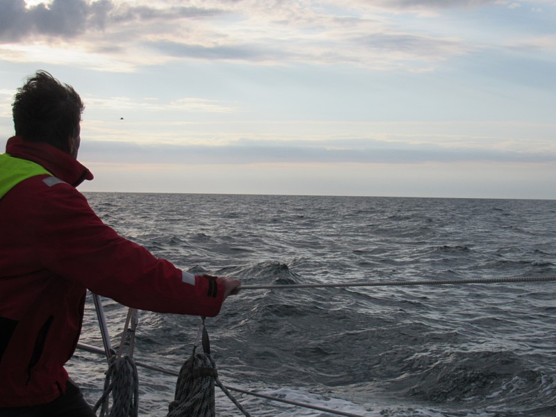 Whale watching