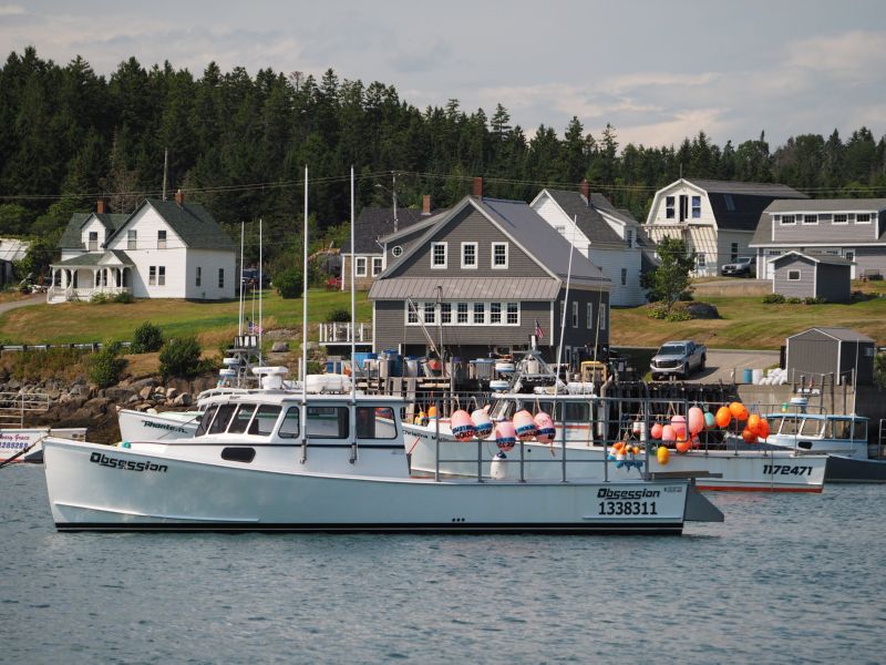 Culter harbor