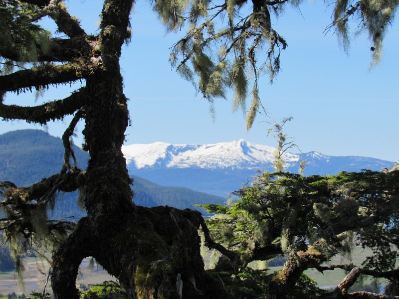Distant mountains.