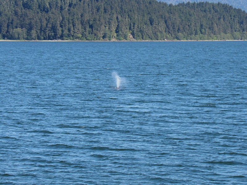 another spout.