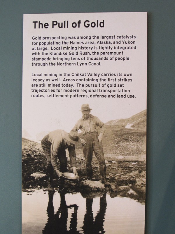 The pull of gold ...
