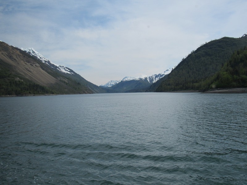 long view ...