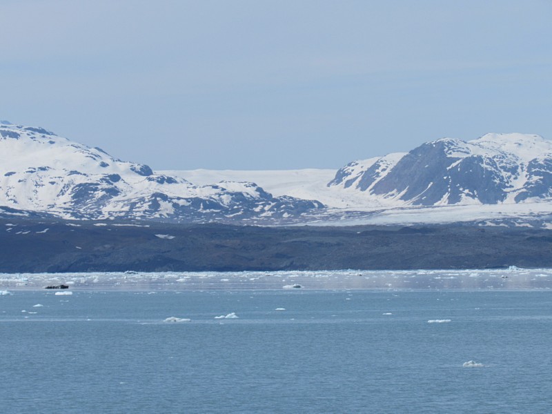 Ferris Glacier<br />dirt covered<br />end of Tarr Inlet