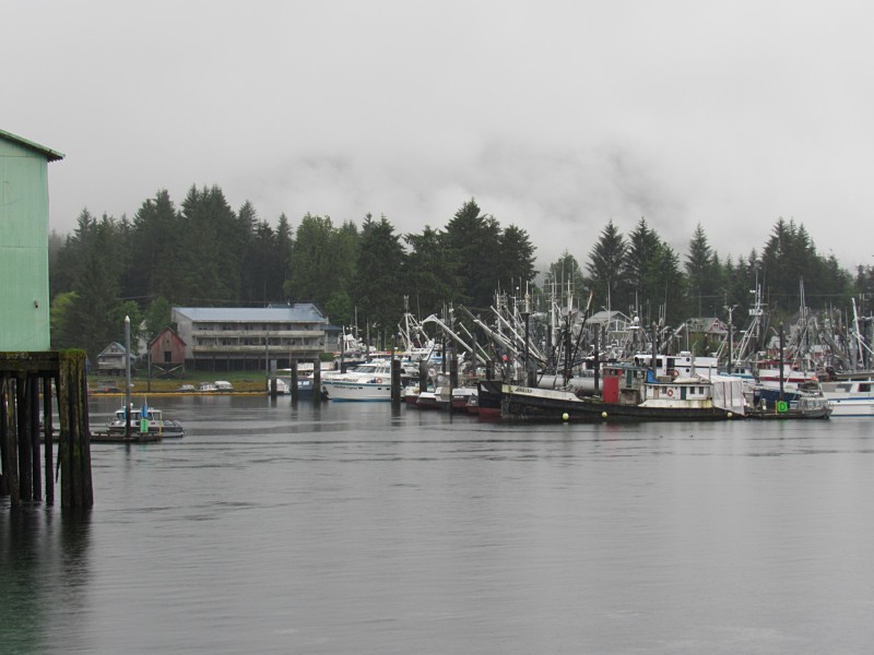 Fishing boats