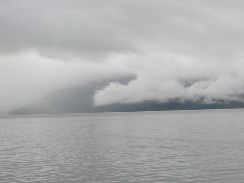 Foggy morning ...