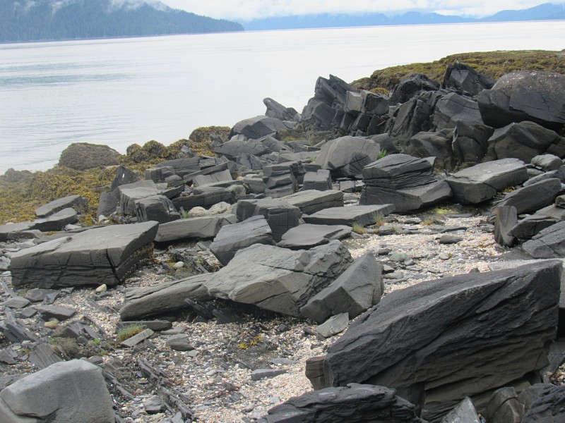 Source rocks.