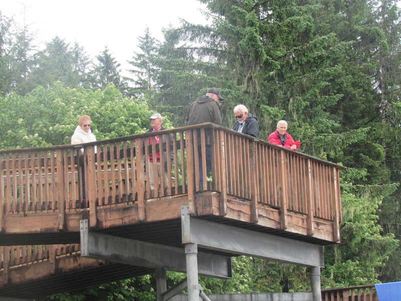 Viewing deck.